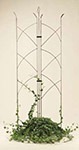Folding Trellis